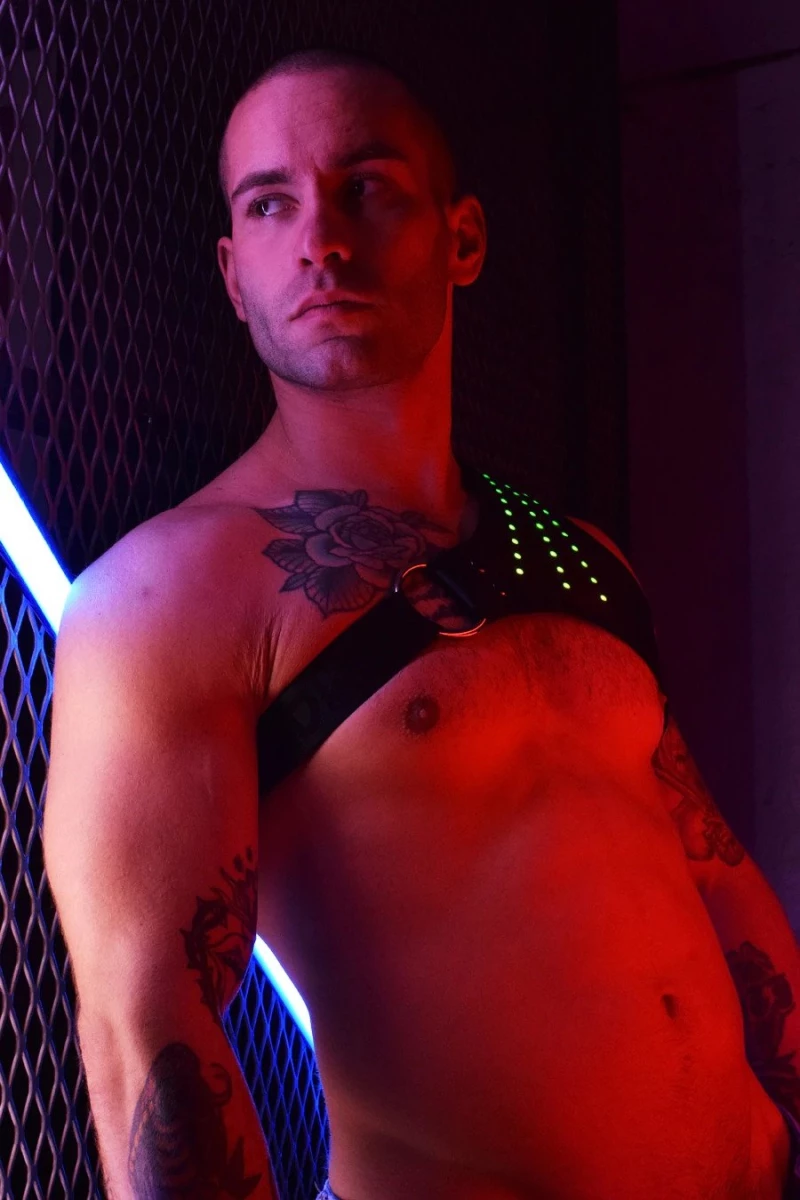SYNERGY Breedwell Lighted Harness