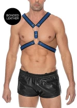 Scottish Harness - Blue