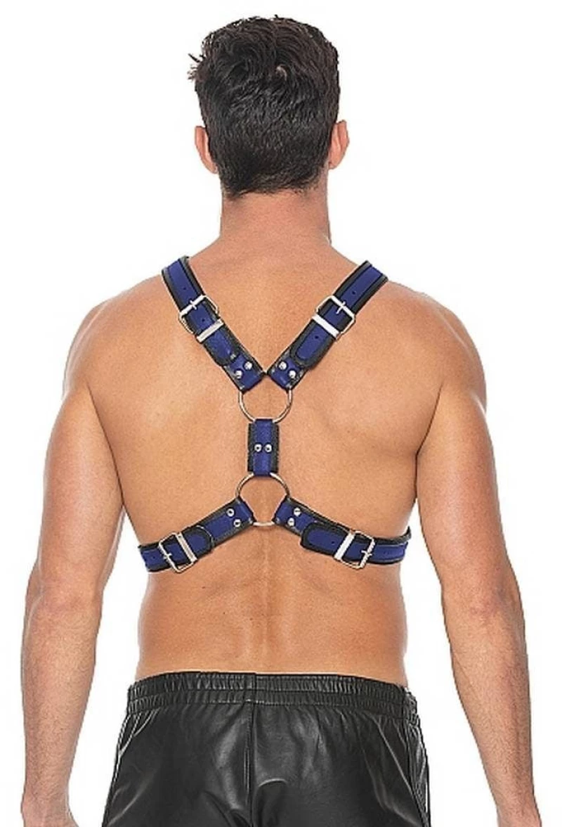 Scottish Harness - Blue