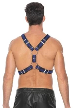 Scottish Harness - Blue