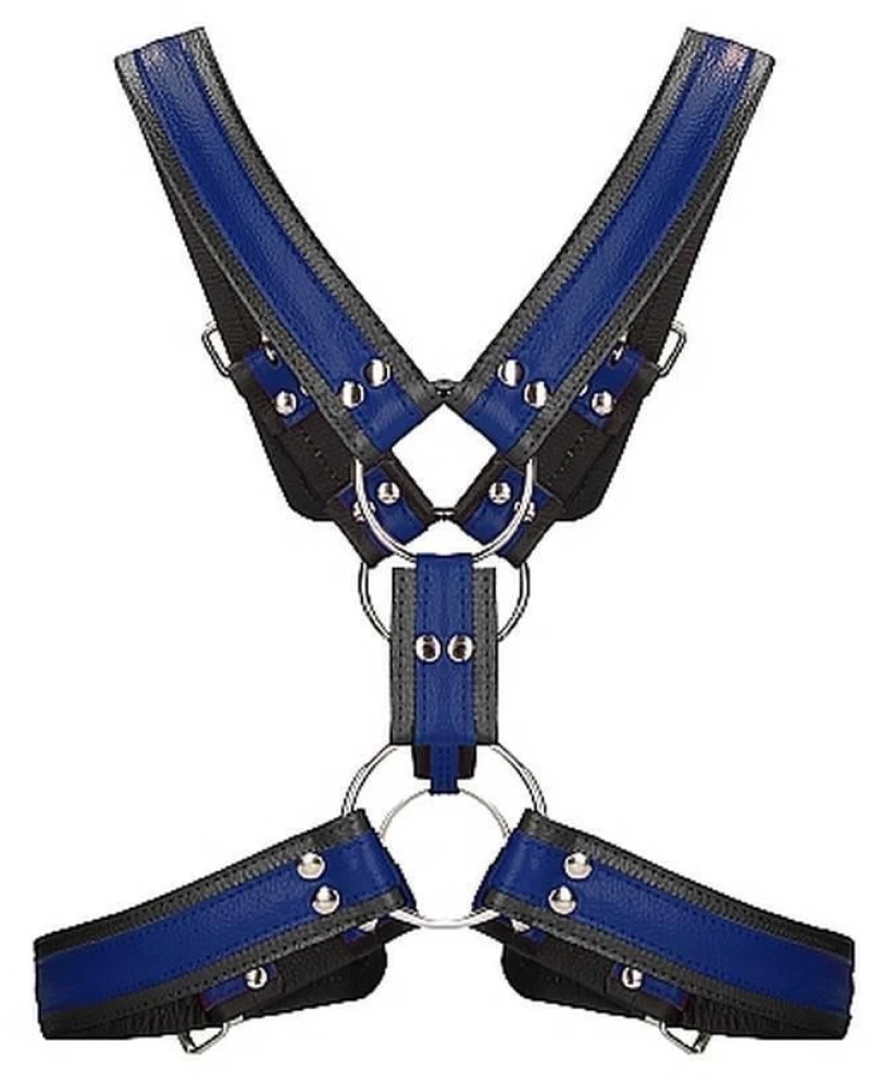 Scottish Harness - Blue