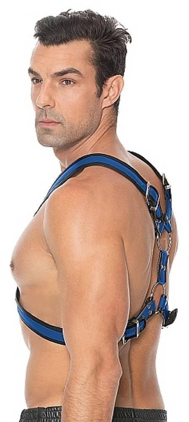 Scottish Harness - Blue