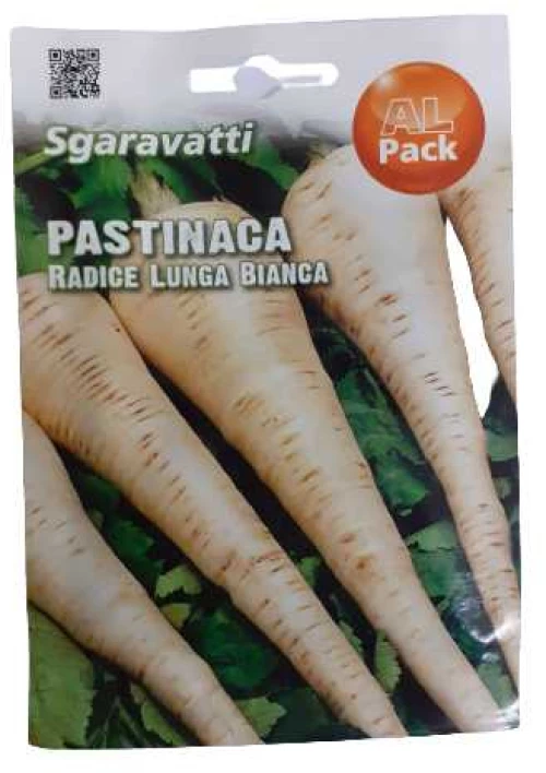 Μαϊντανός ρίζα (Πετροσέλινο)- 8gr