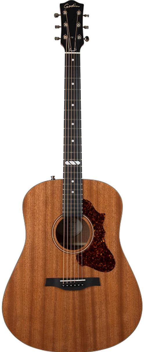 Godin Metropolis Composer LR Baggs Natural