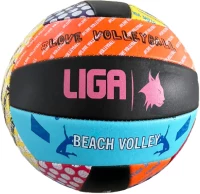 BEACH VOLLEYBALL LIGASPORT^