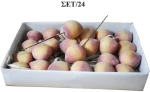 Ροδακινάκια Τεχνητά Σετ/24 2x5Εκ