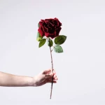 Τεχνητό Κλωνάρι Τριαντάφυλλο 4731-7 45cm Red Supergreens Πολυέστερ