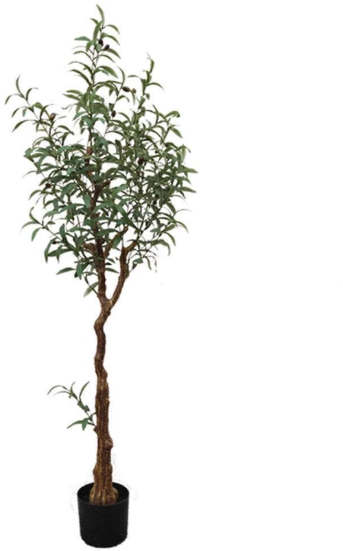 Τεχνητό Δέντρο Ελιά 5660-6 60x60x150cm Green Supergreens Πολυαιθυλένιο