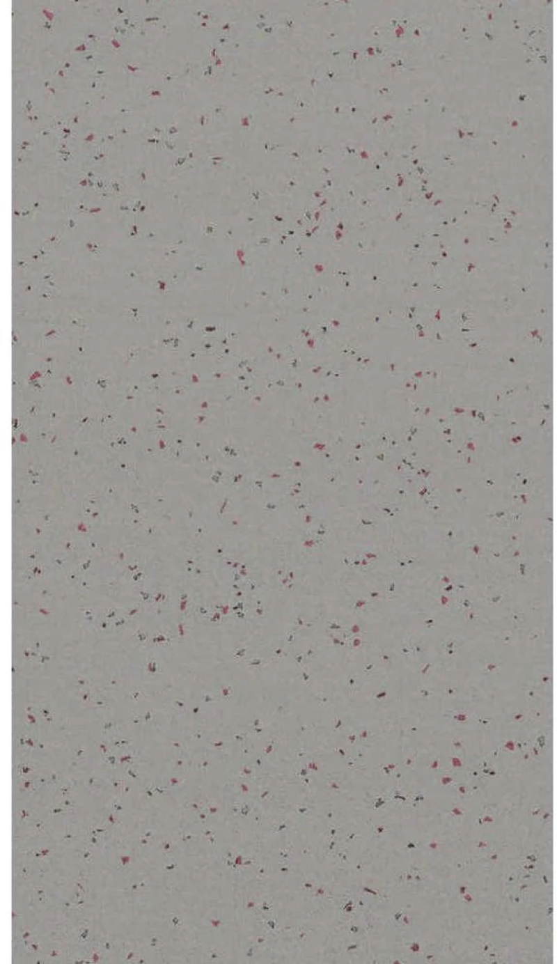 Δάπεδο Αντιολισθητικό Gerflor 8067 Βραδύκαυστο Grey-Rust Fasilis 200X...