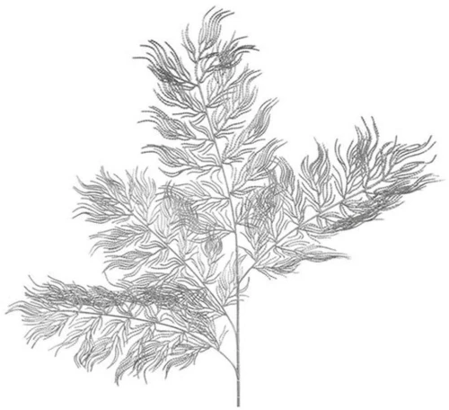 Κλαδί Φτέρη 013.785006 100cm Silver