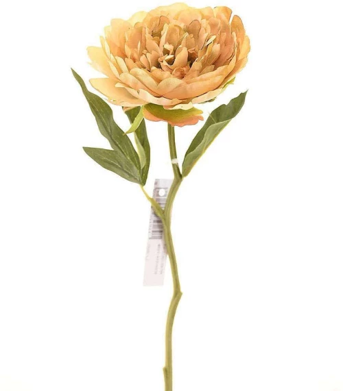 Τεχνητό Κλωνάρι Παιώνια 6280-7 34cm Beige Supergreens Πολυαιθυλένιο