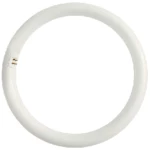 Λαμπτήρας Led G10Q20CWN G10Q 20W 6500K 2100lm White Aca