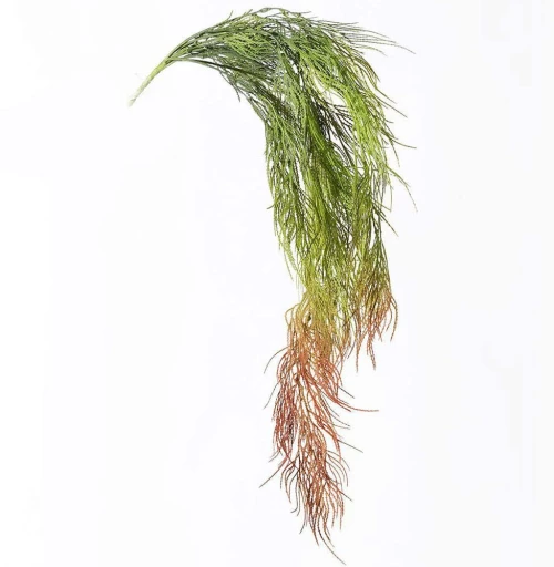 Τεχνητή Κρεμαστή Φτέρη 7361-7 15x83cm Green-Red Supergreens Πολυαιθυλένιο