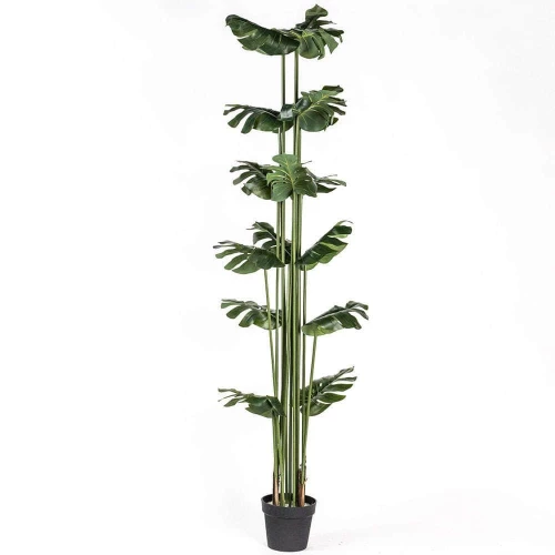 Τεχνητό Δέντρο Μονστέρα 2880-6 50x200cm Green Supergreens Πολυαιθυλένιο