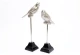 Πουλιά αλουμίνιο σε στάντ σ/2(26+30εκ. )