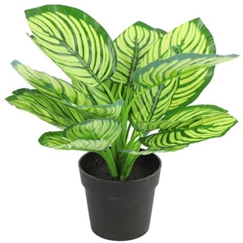 Καλαθέα σε κασπώ 28εκ.