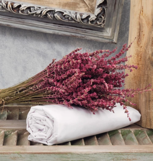 Σεντόνια Μονόχρωμα Λάστιχο Angel - White, Μονό λάστιχο (105x200+25)