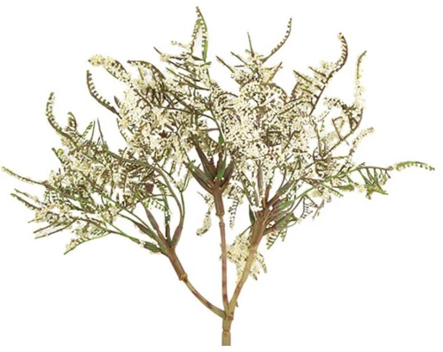 Limonium εκρού κλαδί 41εκ.
