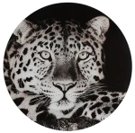 Πίνακας τοίχου γυάλινο Wild Life ασπρόμαυρο 50x50