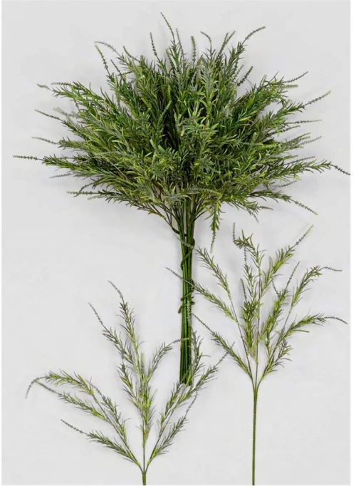 Κλαδί δενδρολίβανο