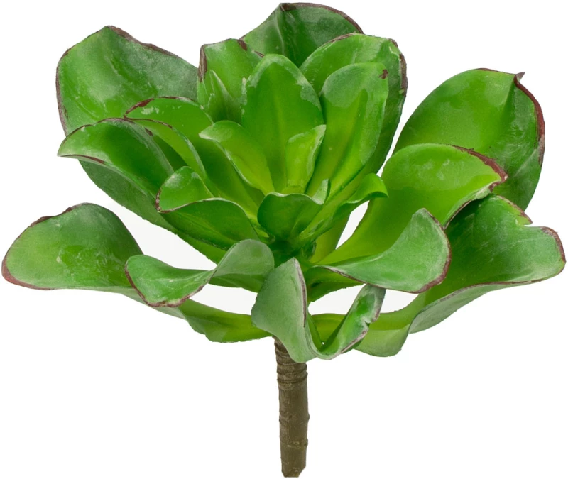 Supergreens Τεχνητό Χωνευτό Παχύφυτο "Veggie" 16 εκ.