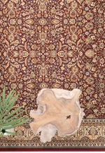 Κλασικό Χαλί Sherazad 6461 8302 RED Royal Carpet - 200 x 250 cm