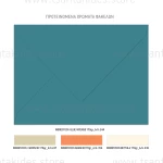 Προσκλητήριο βάπτισης Ιπτάμενη φάλαινα TS554