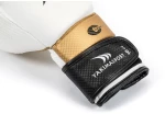 Boxing gloves Yakmaspor lion 14 oz 10034214OZ