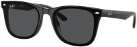 RAY-BAN RB4420 - 601/87  Γυαλιά με ολόκληρο σκελετό Μονόχρωμα Οργανικά Πάστινος  σκελετός 65-18-145
