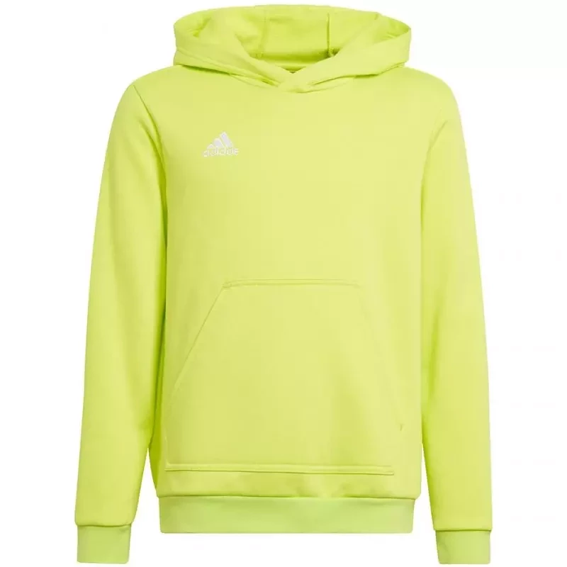 Sweatshirt adidas Entrada 22 Hoody Jr HC5069