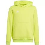 Sweatshirt adidas Entrada 22 Hoody Jr HC5069