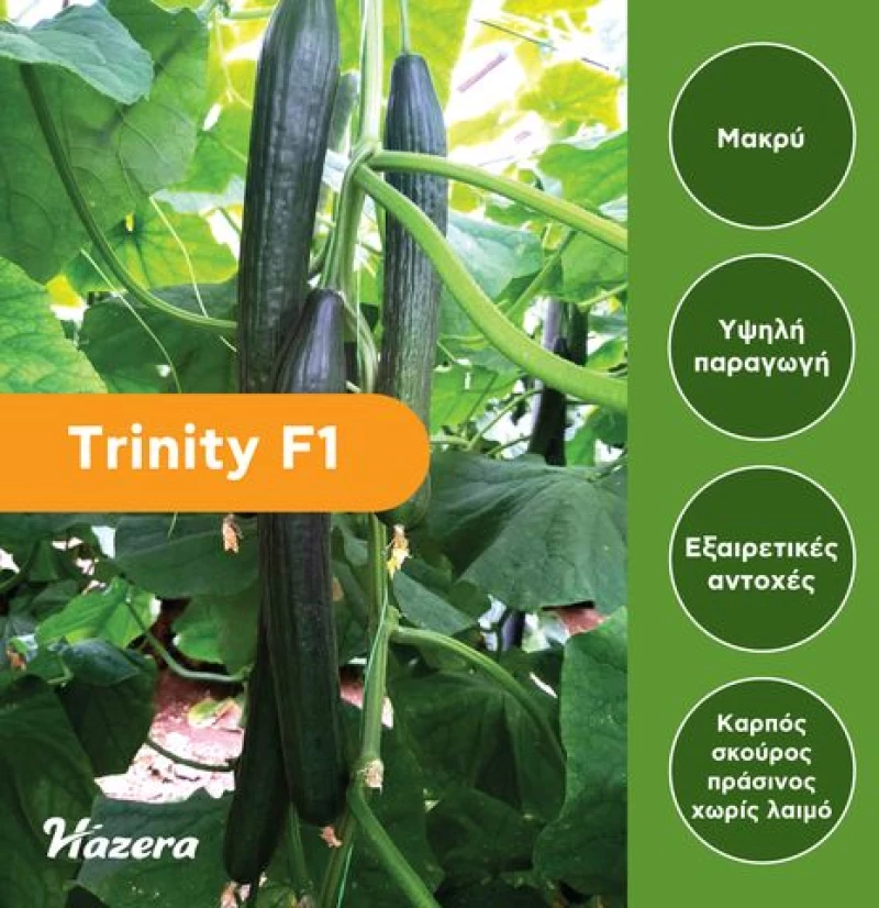 Αγγούρι Μακρύ Θερμοκηπίου Trinity F1