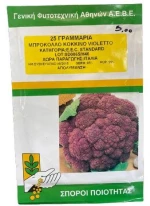 Μπρόκολο Κόκκινο Violetto | 25gr