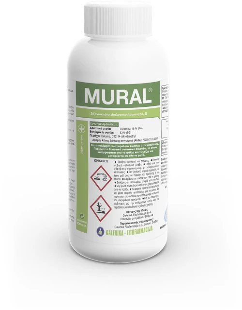 MURAL 48SL | 600cc