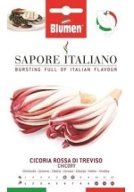 Ραδίκι Δίχρωμο Rossa di Treviso