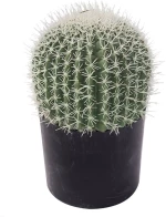 FEROCACTUS ΤΕΧΝΗΤΟ ΦΥΤΟ ΥΦΑΣΜΑ ΠΛΑΣΤΙΚΟ ΠΡΑΣΙΝΟ ΛΕΥΚΟ D18xH30cmINTHEBOX