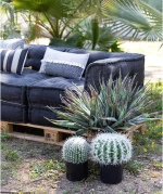 FEROCACTUS ΤΕΧΝΗΤΟ ΦΥΤΟ ΥΦΑΣΜΑ ΠΛΑΣΤΙΚΟ ΠΡΑΣΙΝΟ ΛΕΥΚΟ D18xH30cmINTHEBOX