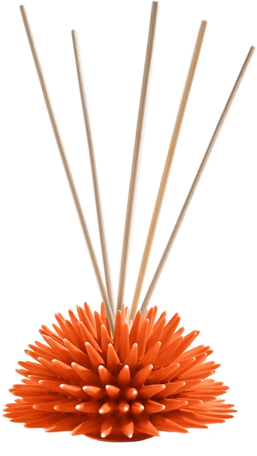 Αρωματικό Χώρου Ricciocaprese New Fragrance Scent Diffuser Orange Tea 250ml