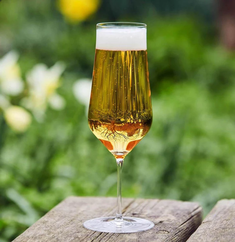 Ποτήρι Μπύρας Zalto Beer Glass