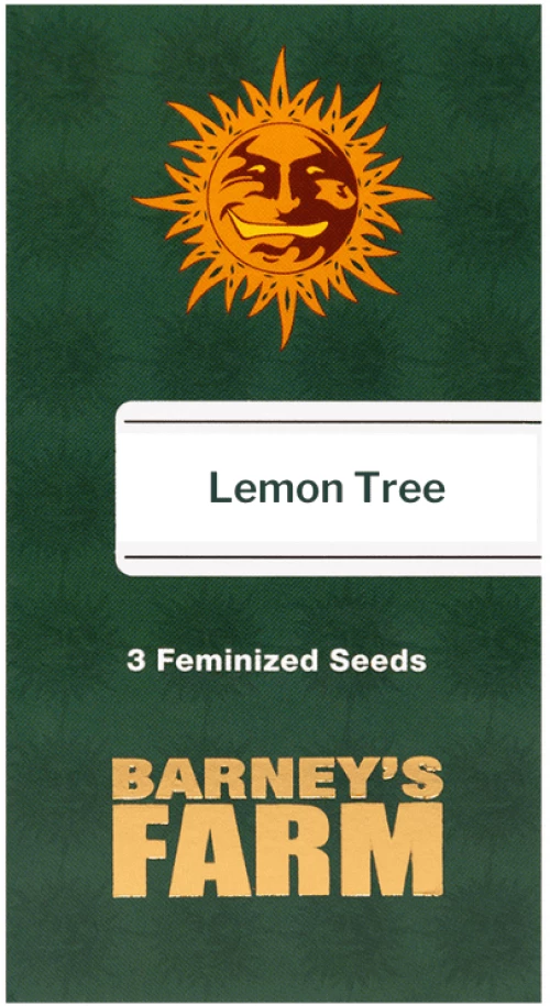Barneys Lemon Tree - 3 seeds