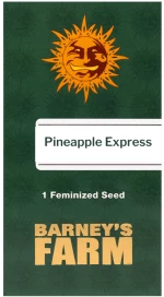 Barneys - Pineapple Express - 1 seed