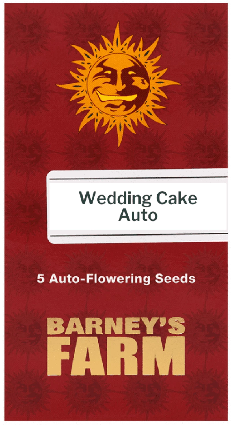 Barneys- Wedding Cake Auto - 5 seeds