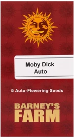 Barneys - Moby Dick - 5 seeds