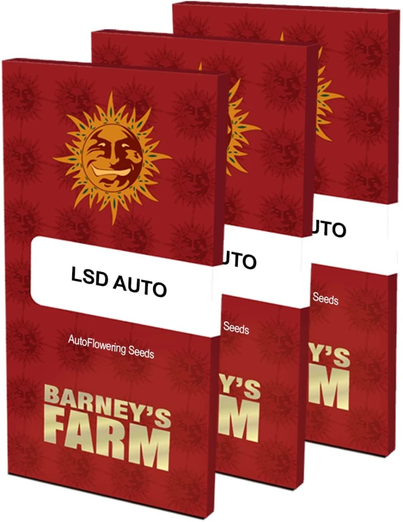 Barneys - LSD Auto - 3 seeds