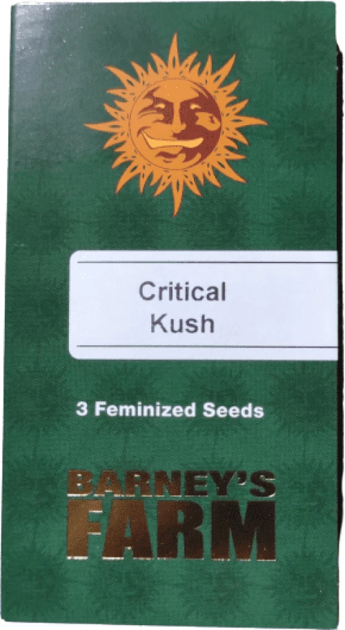 Barneys - Critical Kush - 3 seeds