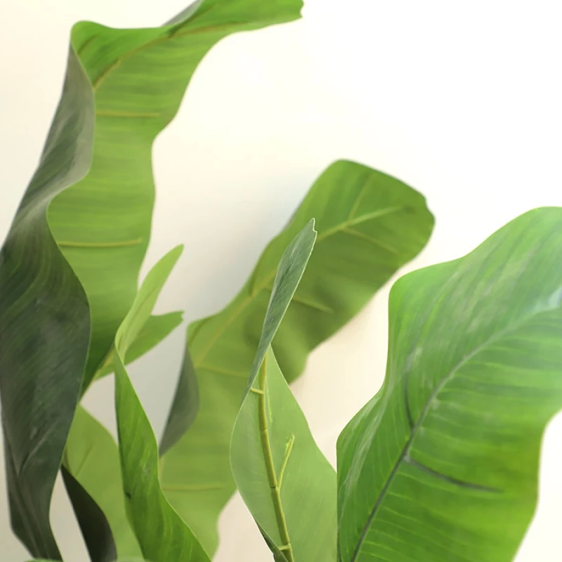 BANANA TREE NP707_240  ΥΨΟΣ 240cm New Plan