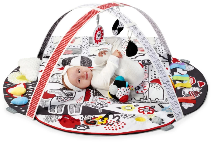Kinderkraft Γυμναστήριο Δραστηριοτήτων 4smart