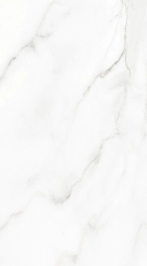 Πλακάκι Δαπέδου Πορσελανάτο Statuario Bianco 60x120cm Λευκό 40569657