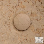 Τάπα Βαλβίδας Νιπτήρα Fossil Beige TPM01-500