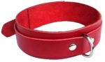 Fire Up submissive collar